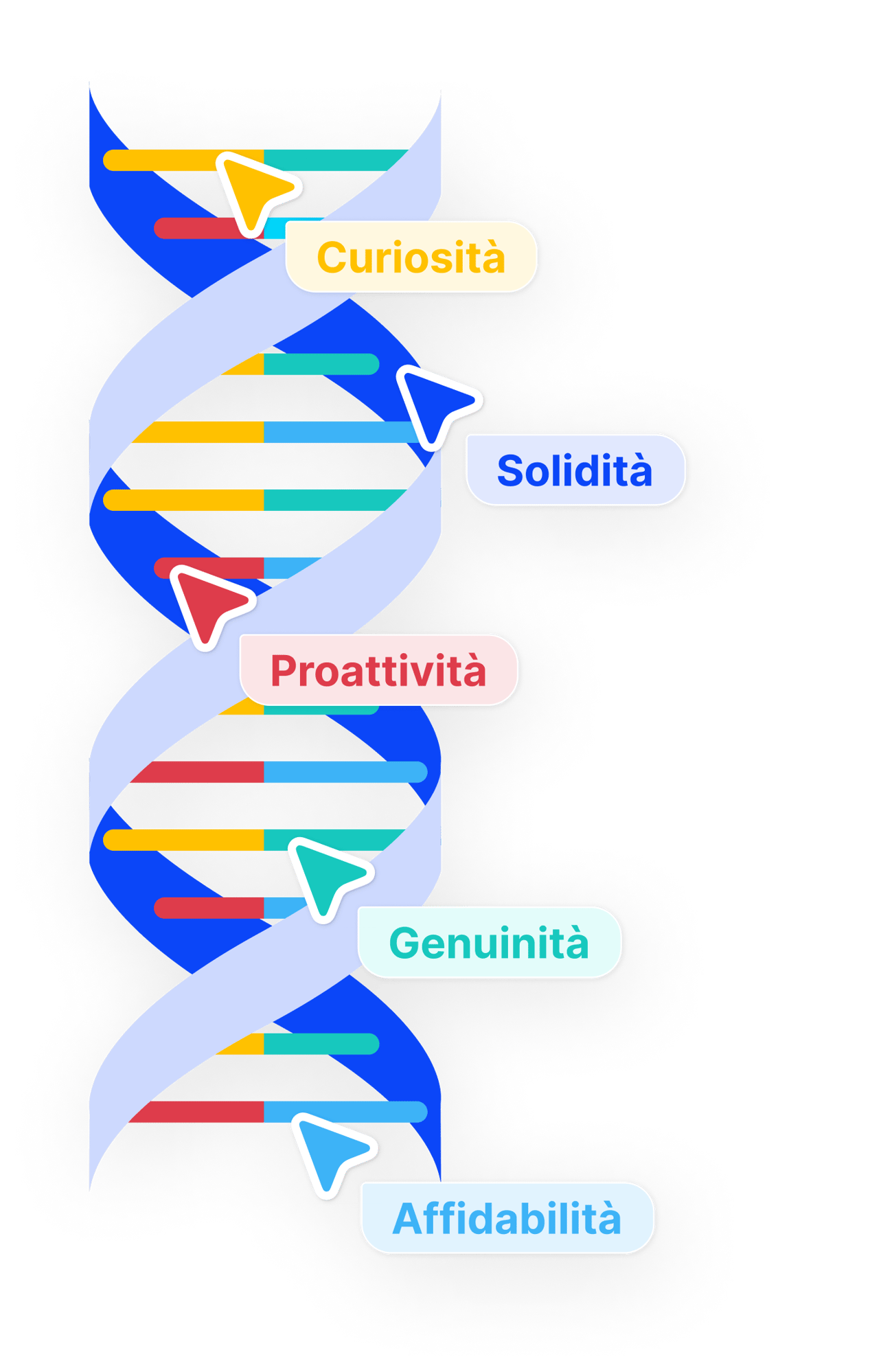dna dna